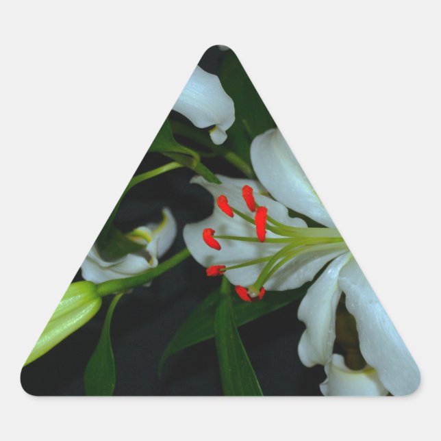 Irish Design-Brass and Flower Collection Triangle Sticker (Front)