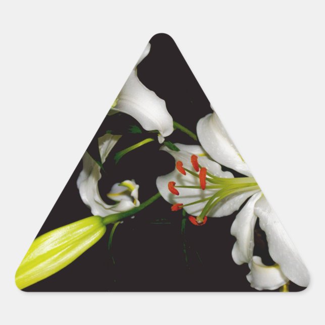 Irish Design- Brass and Flower Collection Triangle Sticker (Front)