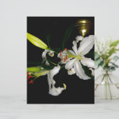 Irish Design-The Flower Collection (Standing Front)