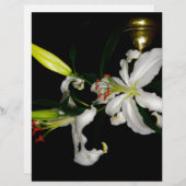 Irish Design-The Flower Collection (Front/Back)