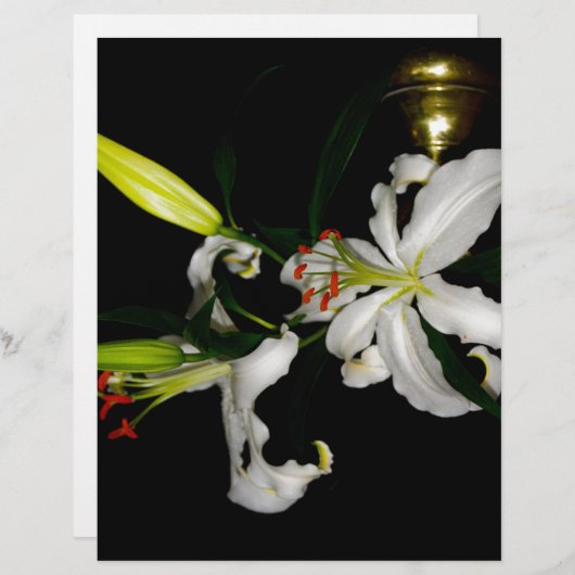 Irish Design-The Flower Collection (Front/Back)