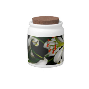 Irish Design-The Flower Collection Candy Jar