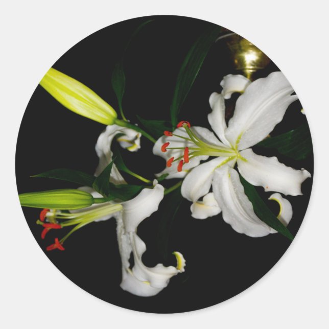Irish Design-The Flower Collection Classic Round Sticker (Front)
