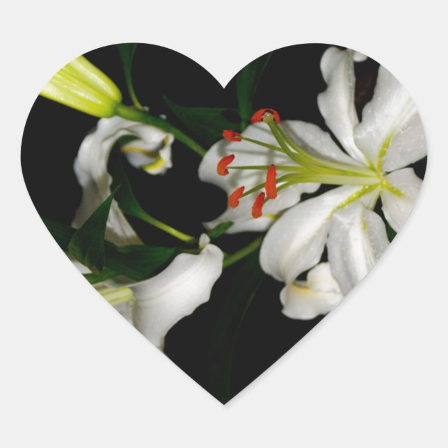 Irish Design-The Flower Collection Heart Sticker (Front)