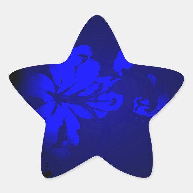 Irish Design-The Flower Collection Star Sticker (Front)
