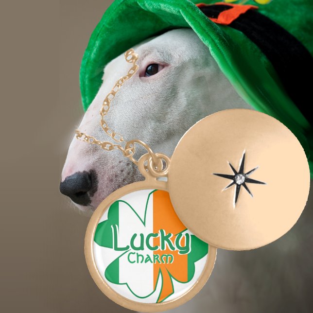 Irish Flag Charm Necklace (Creator Uploaded)