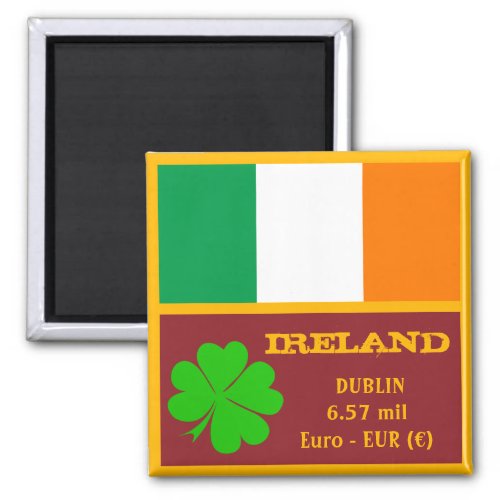 Irish flag Dublin  Ireland travel sports fans Magnet