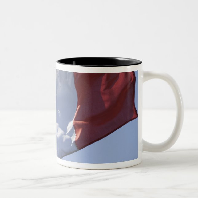 Irish Flag Two-Tone Coffee Mug (Right)