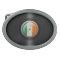 Irish Flag Vinyl Record Album Graphic