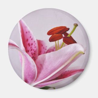Irish Floral Magnet