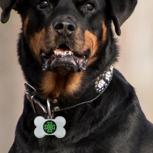 Irish Green Celtic Knot Pet Tag