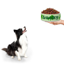 Irish green clover lucky shamrock pet bowl