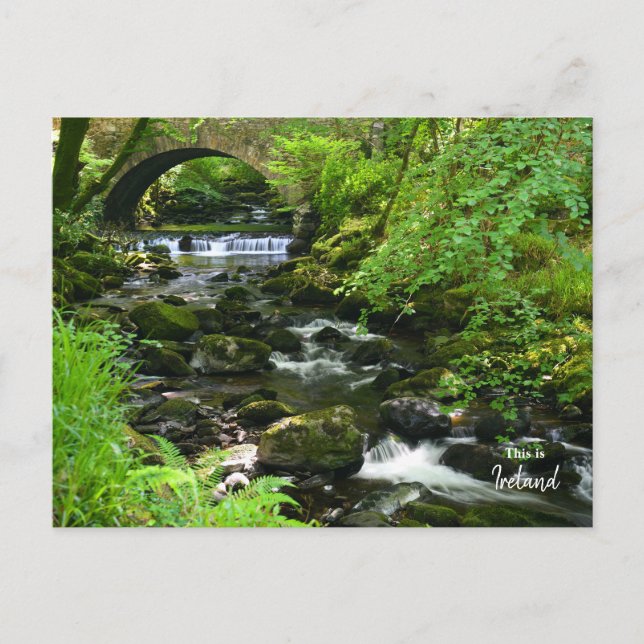 Irish Green- Ireland Postcard (Front)