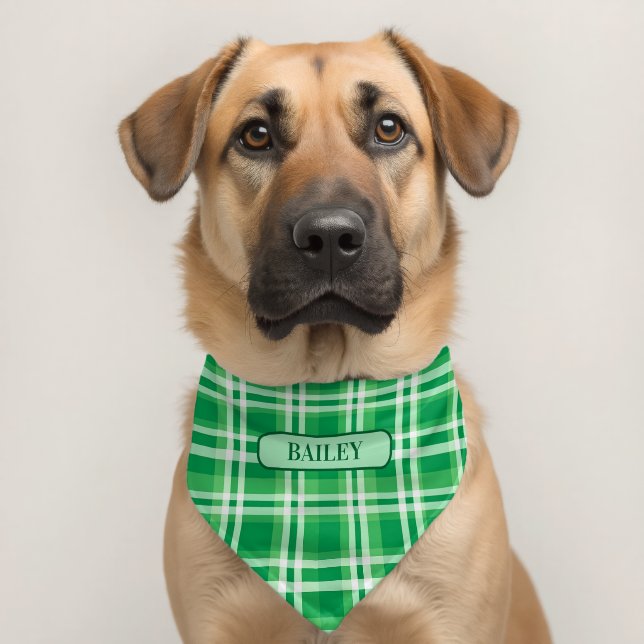 Irish Green Plaid  Personalized Pet Bandana Collar (Dog 2)