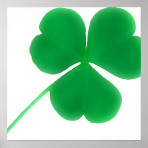 Irish Green Shamrock Simple   St. Patrick's Day Poster