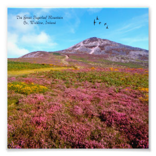 Irish image for NullValue-Photo-Enlargement Photo Print