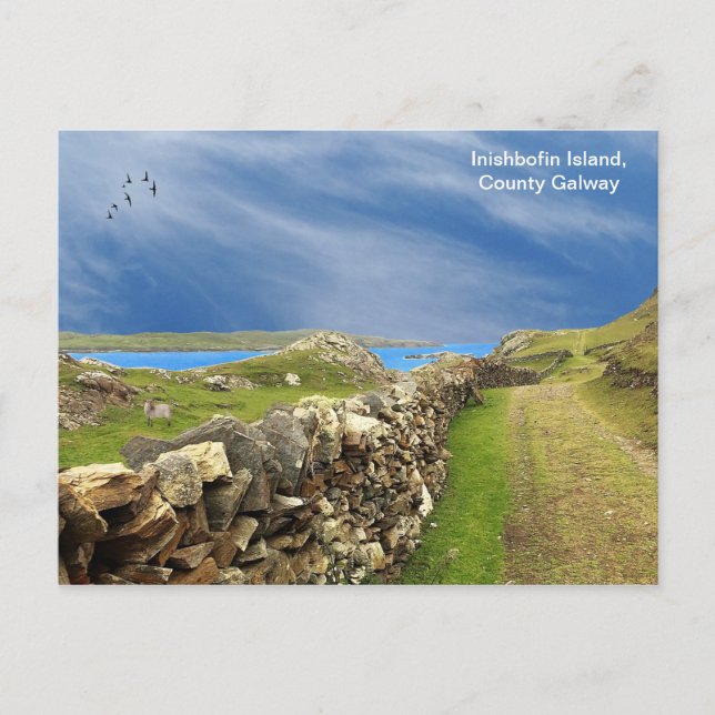 Irish image for postcard (Front)