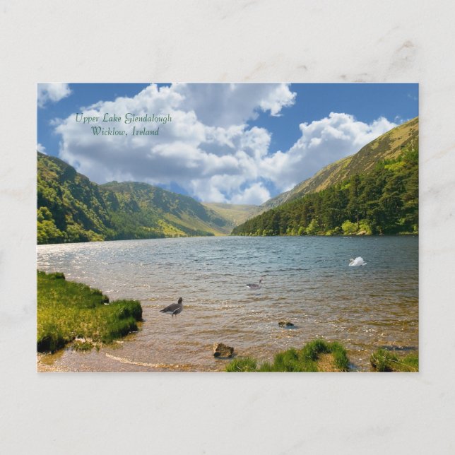 Irish image for postcard (Front)