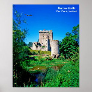 Irish image for poster