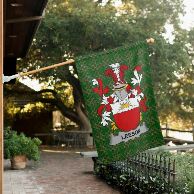 Irish Leeson Coat of Arms Family Crest Ireland House Flag (In SItu)