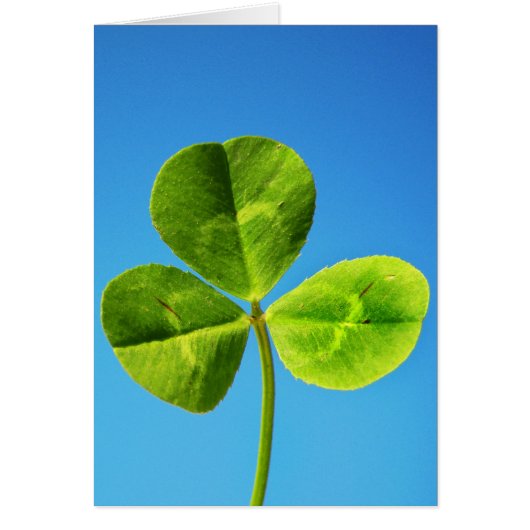 Irish luck cards (Front)