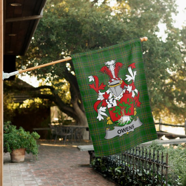  Irish Owens Coat of Arms Family Crest Ireland House Flag (In SItu)