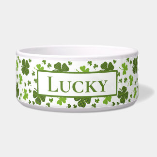 Irish Personalized Large Dog Bowl | Lucky