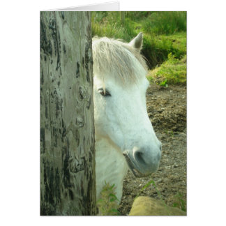 Irish Pony Cards