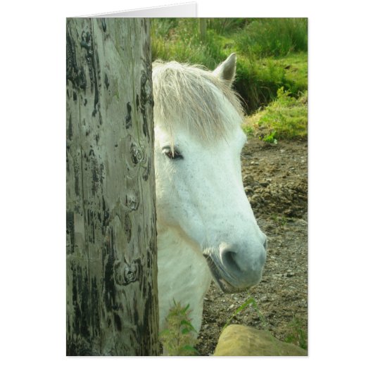 Irish Pony Cards (Front)