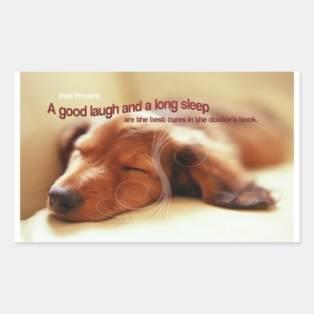 Irish Proverb and Sleeping Dog Rectangular Sticker (Front)
