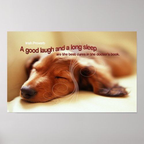 Irish Proverb Sleeping Dog Poster