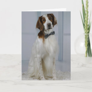 Irish Red and White Setter "Hero" Card