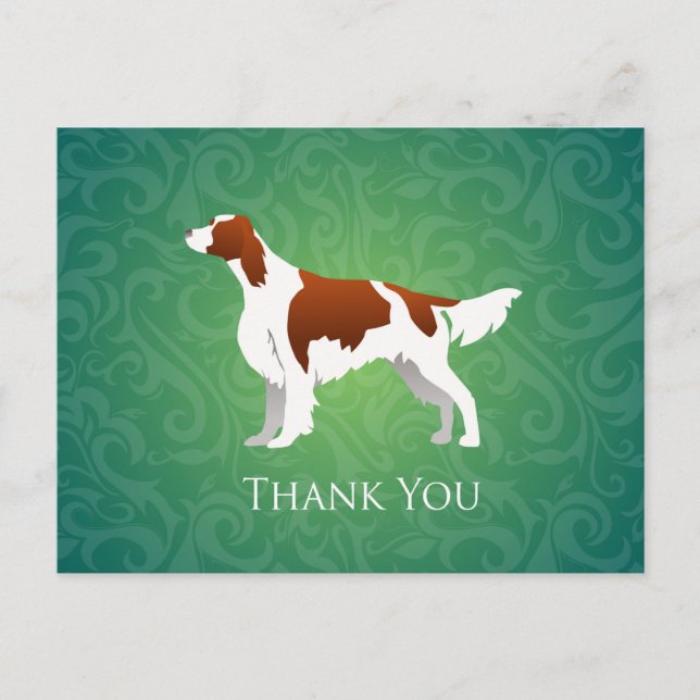 Irish Red and White Setter Thank You Postcard (Front)