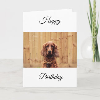Irish Red Setter Birthday Card
