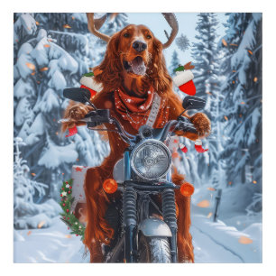 Irish Red Setter Dog Riding Motorcycle Christmas Acrylic Print
