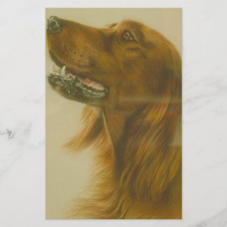 Irish Red Setter Dog Stationery