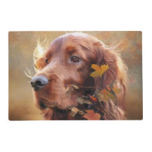 Irish Red Setter, Irish Setter