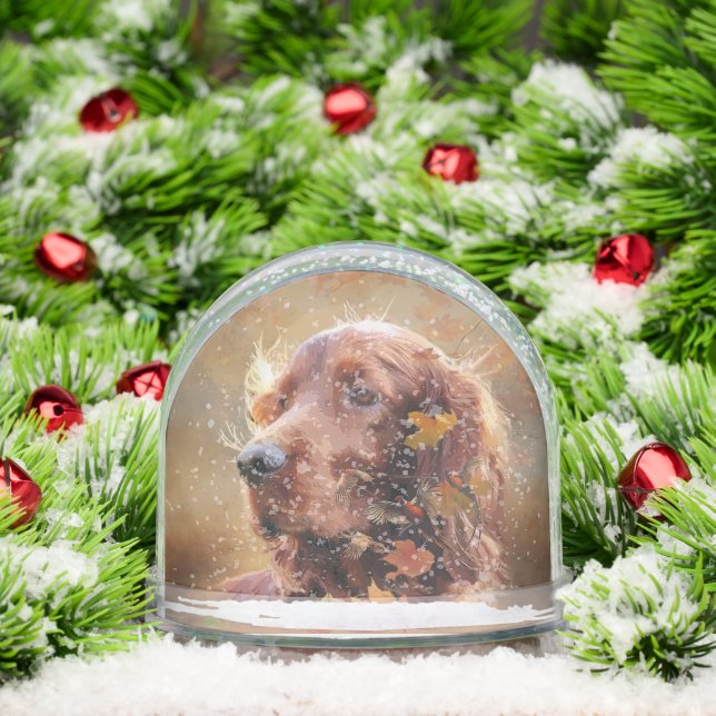 Irish Red Setter, Irish Setter Snow Globe (Christmas)