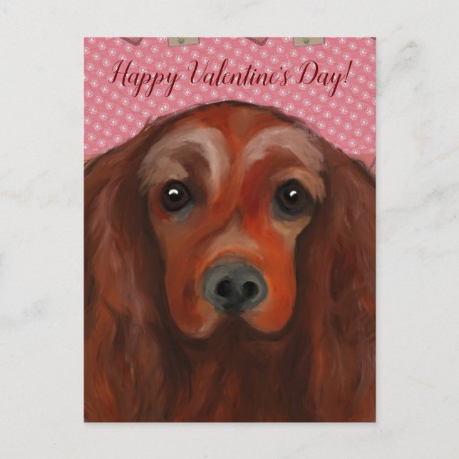 Irish Red Setter       Postcard (Front)