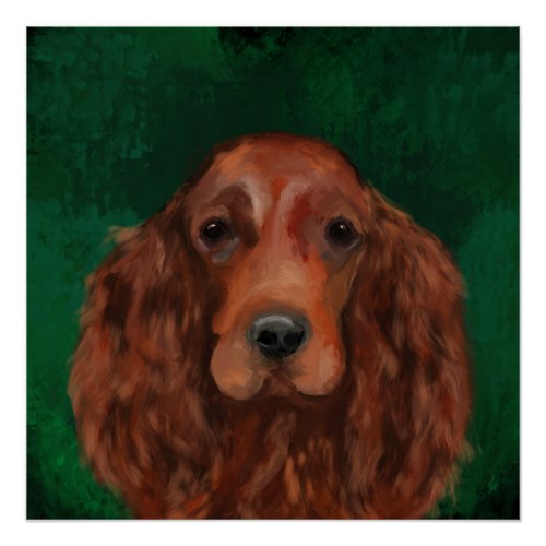 Irish Red Setter Poster