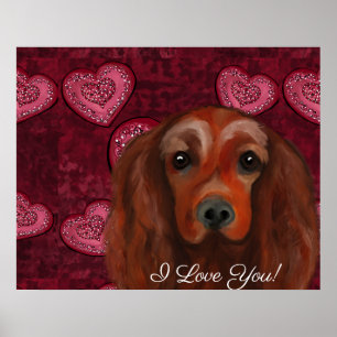Irish Red Setter Poster