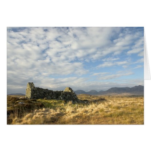 Irish ruin cards (Front Horizontal)