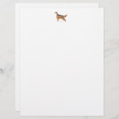 Irish Setter (Front/Back)