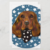 IRISH SETTER (Front/Back)