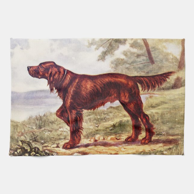 Irish Setter 1900 Illustration of Sporting Dog Kitchen Towel (Horizontal)