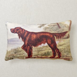 Irish Setter 1900 Illustration of Sporting Dog Lumbar Pillow
