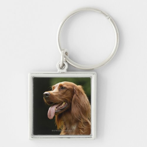 Irish Setter 2 Keychain