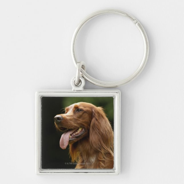 Irish Setter 2 Keychain (Front)