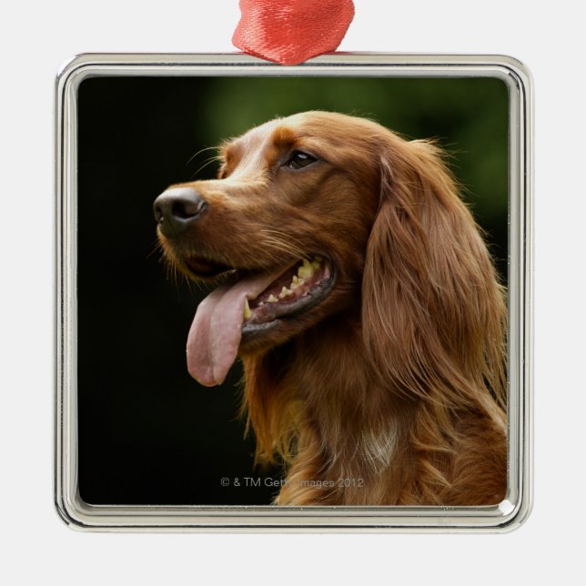 Irish Setter 2 Metal Ornament (Front)