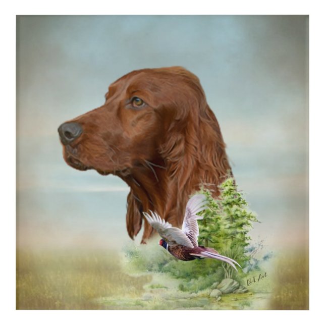 Irish Setter          Acrylic Print (Front)
